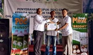 bright-PLN-Batam-IN-696x527